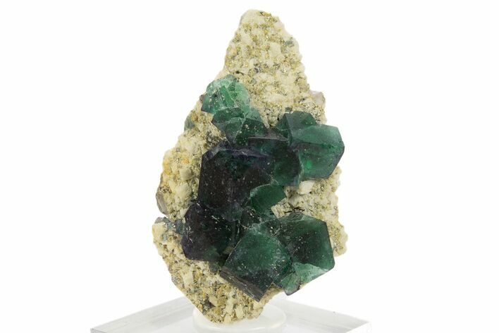 Sparkling Muscovite Crystals and Fluorite on Feldspar - Namibia #332625